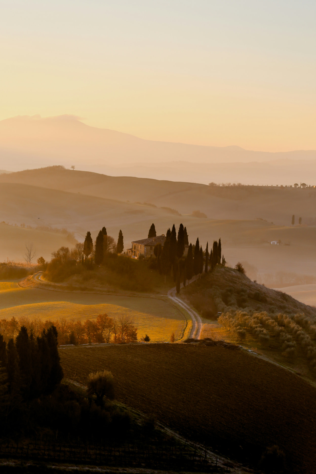 The Italian Dream